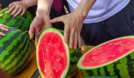 可以免费吃瓜,畅享娱乐无限